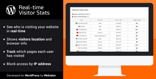 Real-time Visitor Stats for WordPress