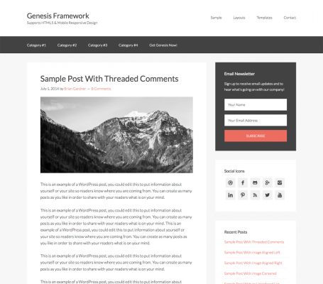 StudioPress – Genesis Sample Theme