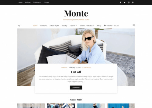 WPZOOM – Monte