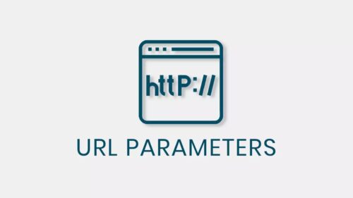 QSM – URL Parameters